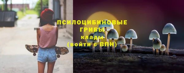 стаф Армянск