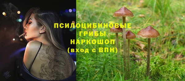 эйфоретик Балахна