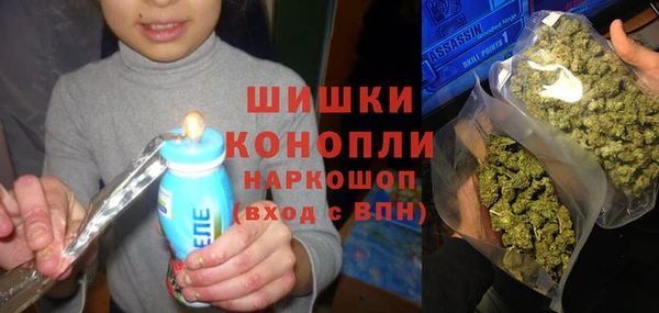 дживик Аркадак