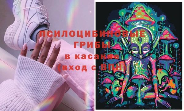 дживик Аркадак