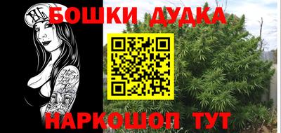 амф Обь
