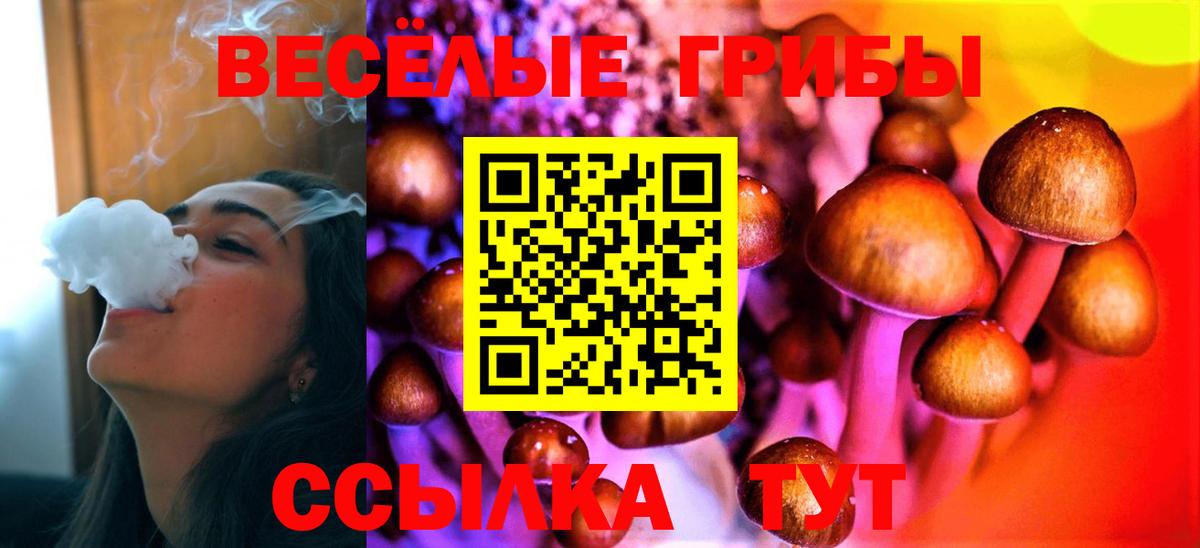 Псилоцибиновые грибы Magic Shrooms Пушкино